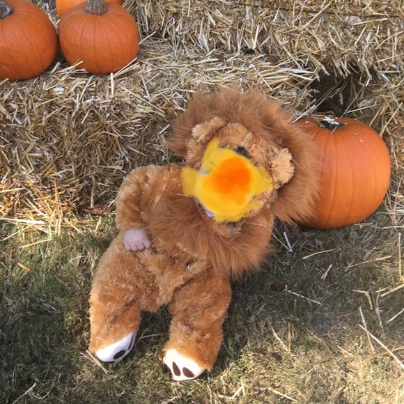 Rubie's Other - Cute lion costume.